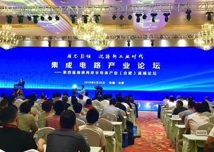 集成電路產(chǎn)業(yè)在合肥 專家智囊團成立，企業(yè)數(shù)字化建設迎新機遇